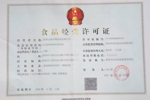 食品公司經營范圍詳解與預包裝食品填寫指南
